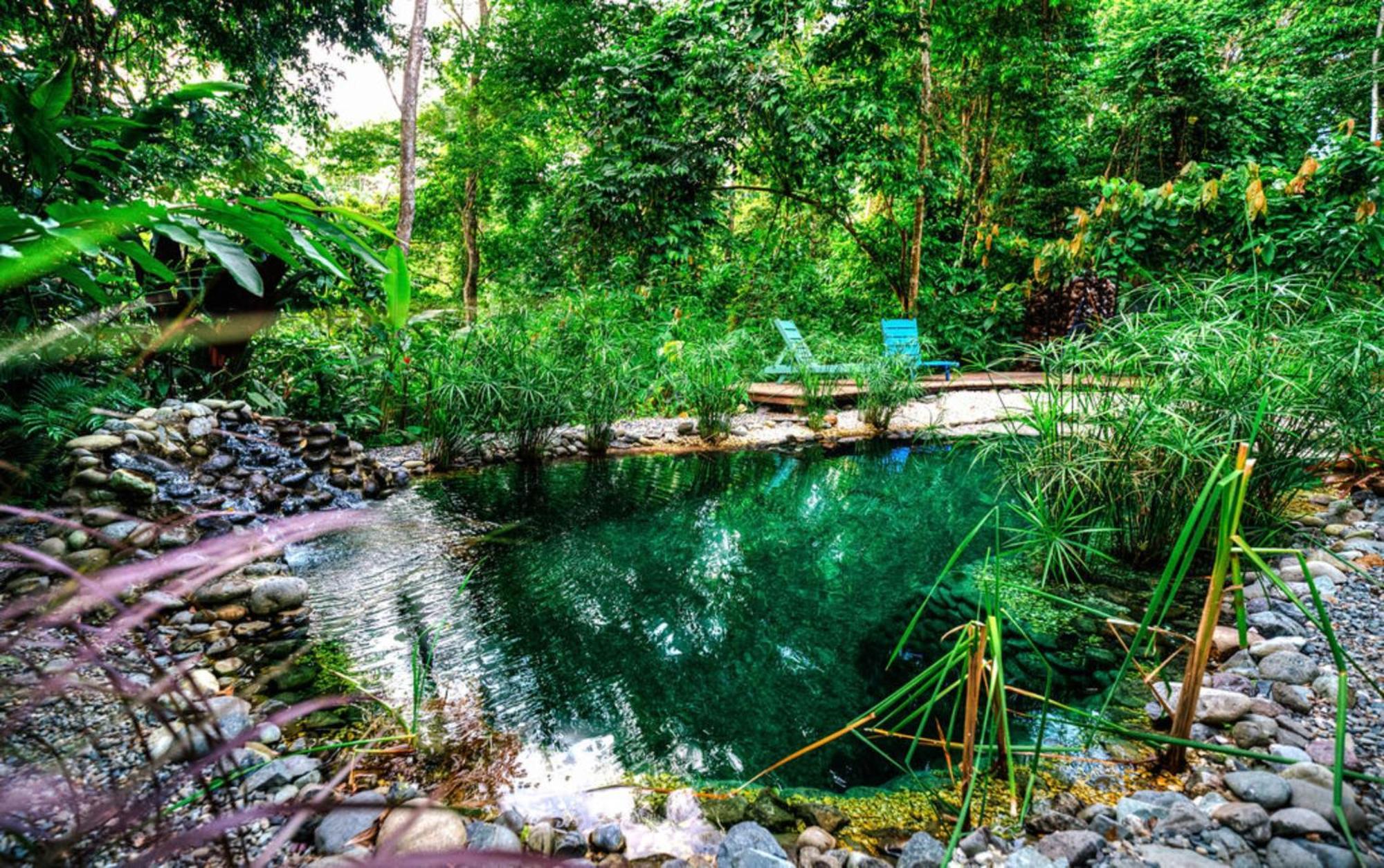 La Shamana - Ecological Concept In Jungle Villa Cahuita Exterior foto