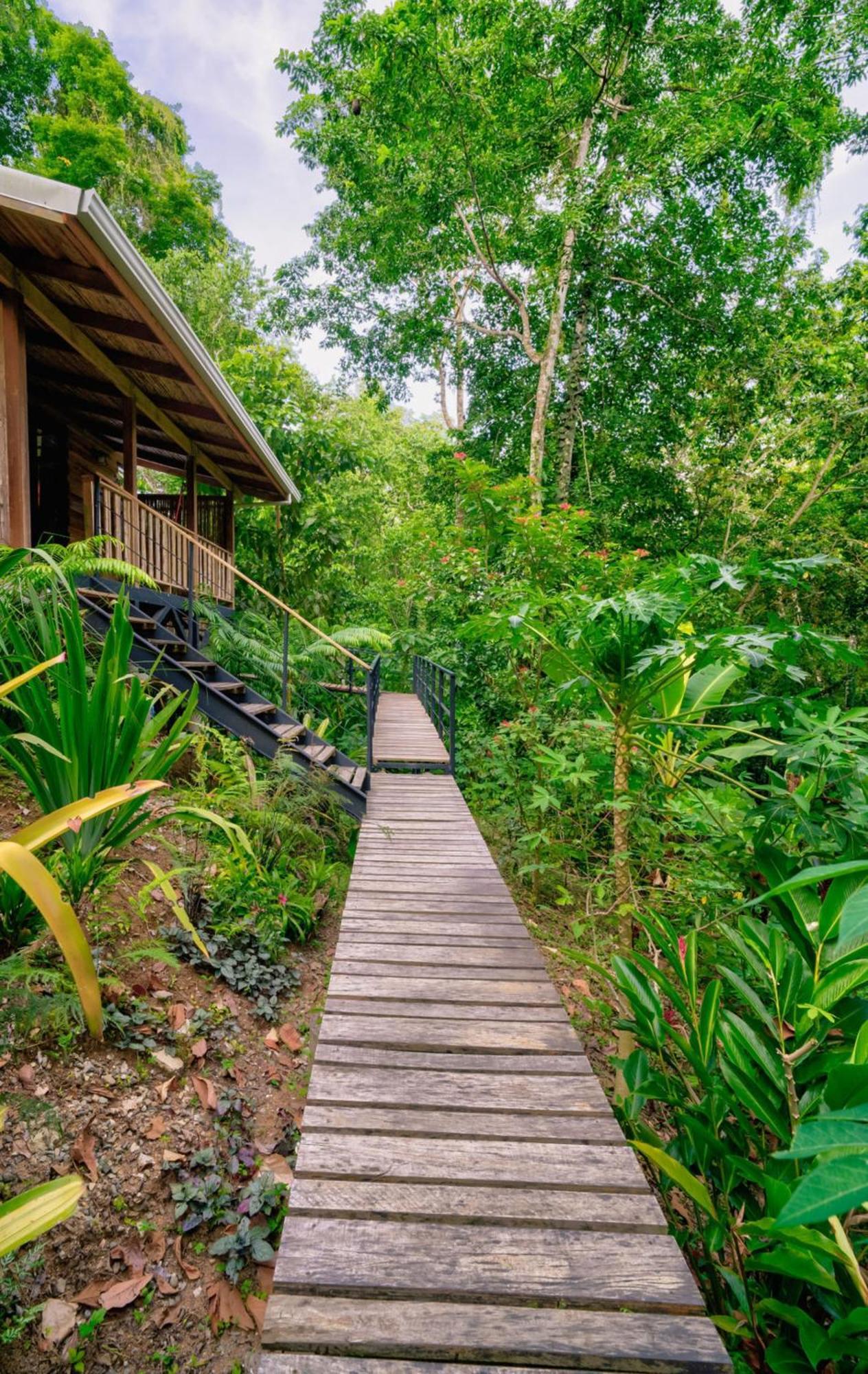 La Shamana - Ecological Concept In Jungle Villa Cahuita Exterior foto