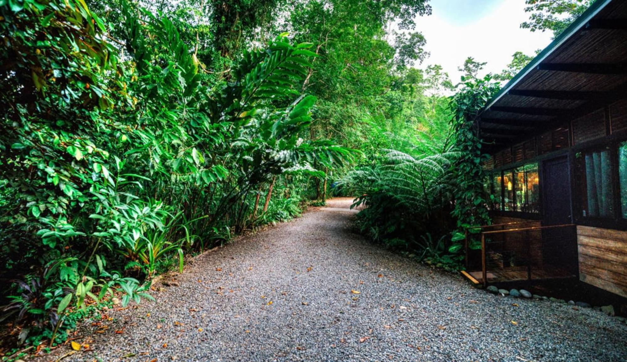 La Shamana - Ecological Concept In Jungle Villa Cahuita Exterior foto