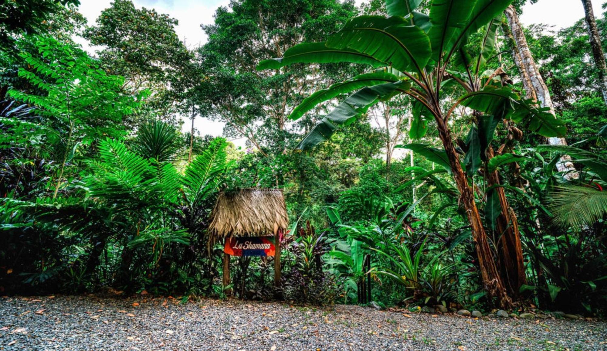 La Shamana - Ecological Concept In Jungle Villa Cahuita Exterior foto