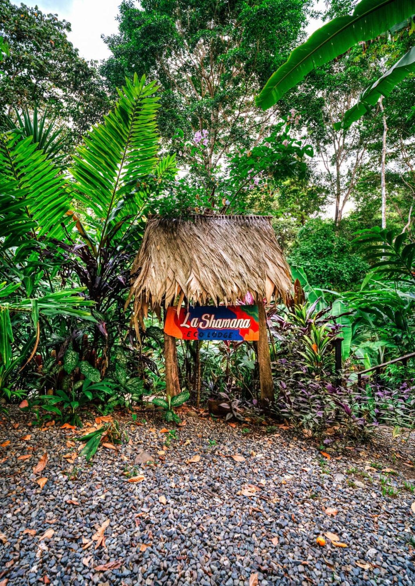 La Shamana - Ecological Concept In Jungle Villa Cahuita Exterior foto