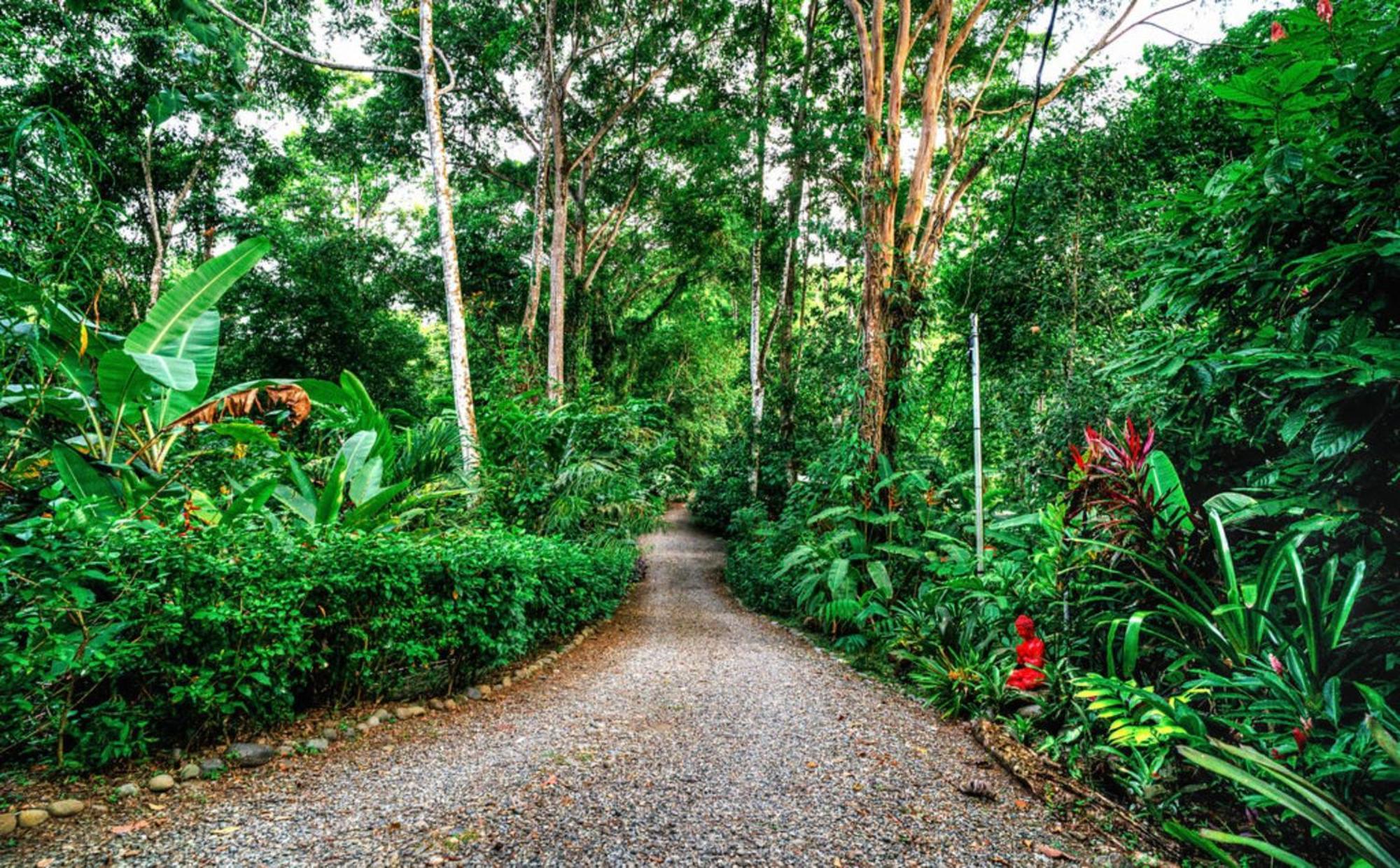 La Shamana - Ecological Concept In Jungle Villa Cahuita Exterior foto