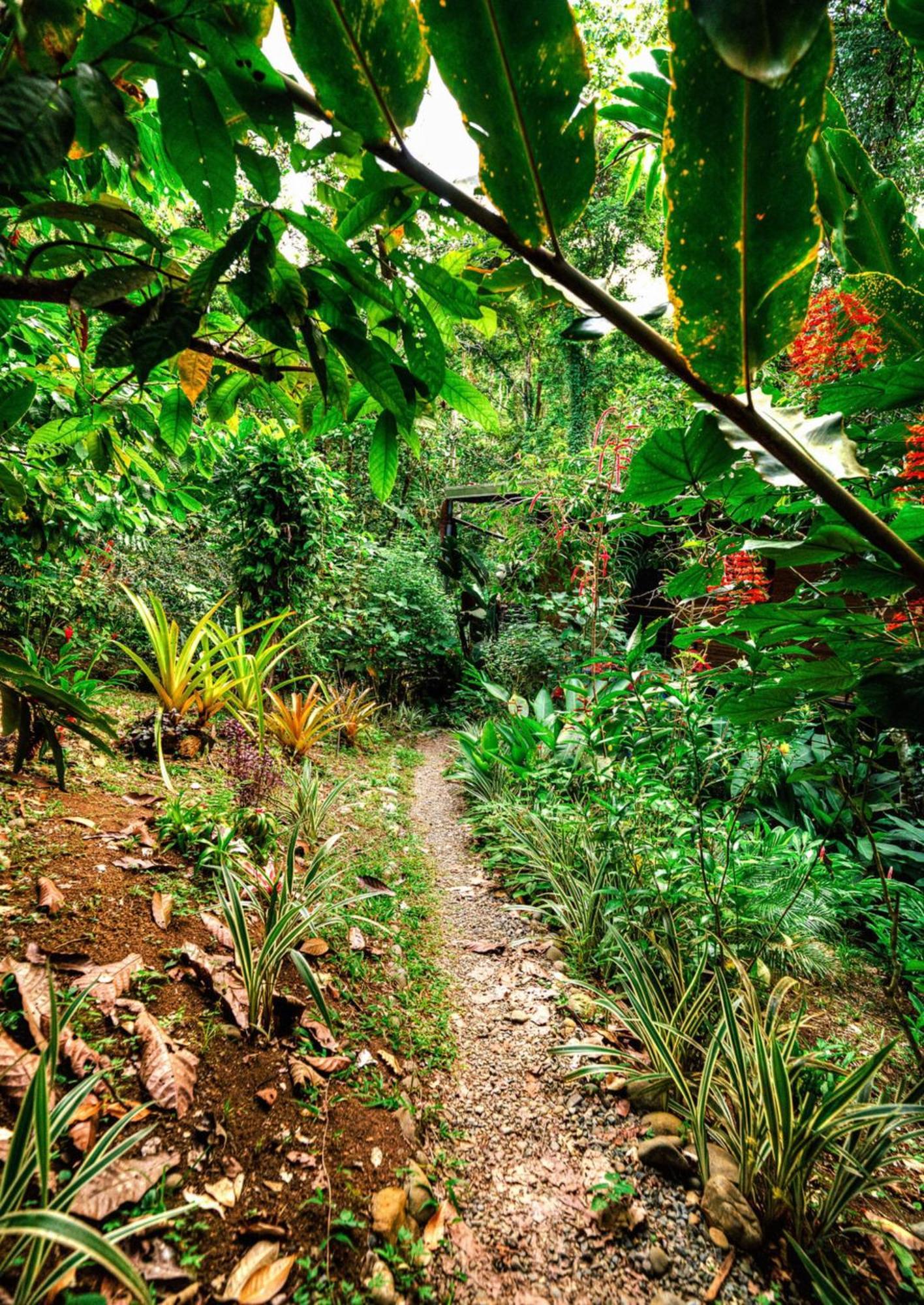 La Shamana - Ecological Concept In Jungle Villa Cahuita Exterior foto