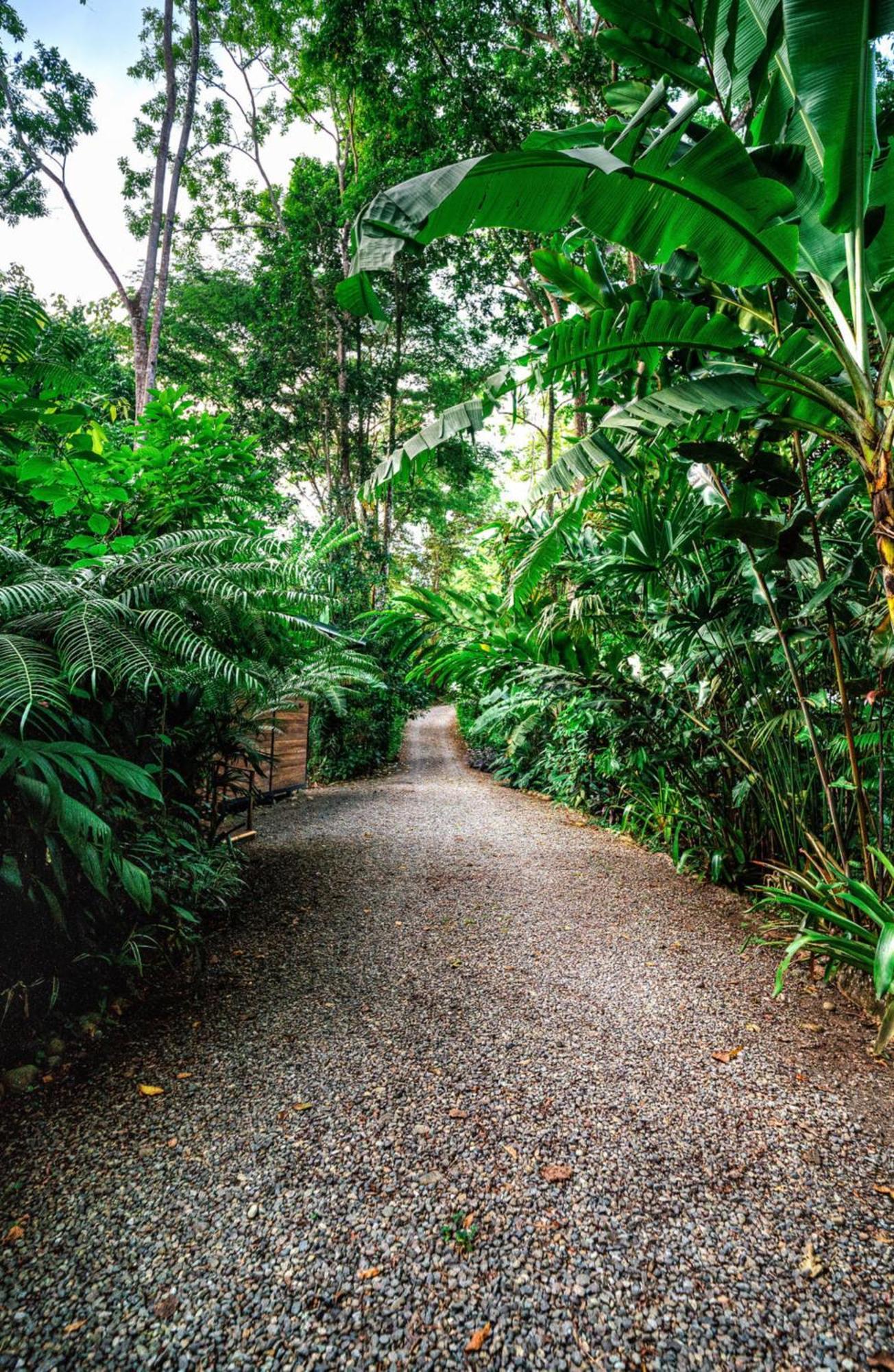 La Shamana - Ecological Concept In Jungle Villa Cahuita Exterior foto